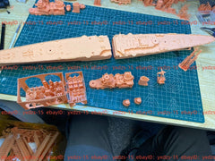 3d Printed 1/350 Italian Duca Degli Abruzzi Class Cruisers(full Hull/waterline)