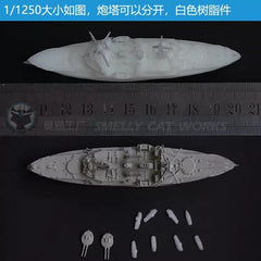 3d Printed 1/1100/1250/2000 German Schleswig-holstein Battleship