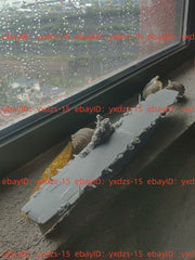 3d Printing 1/700 Hms Ark Royal Ii Aircraft Carrier(full Hull/waterline)