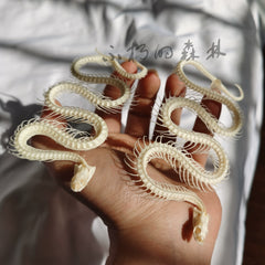 Snake Full-Body Skeleton Specimen | Ornament | Decoration | Collectible | Art Display  40 cm ≈ 15.8 inch