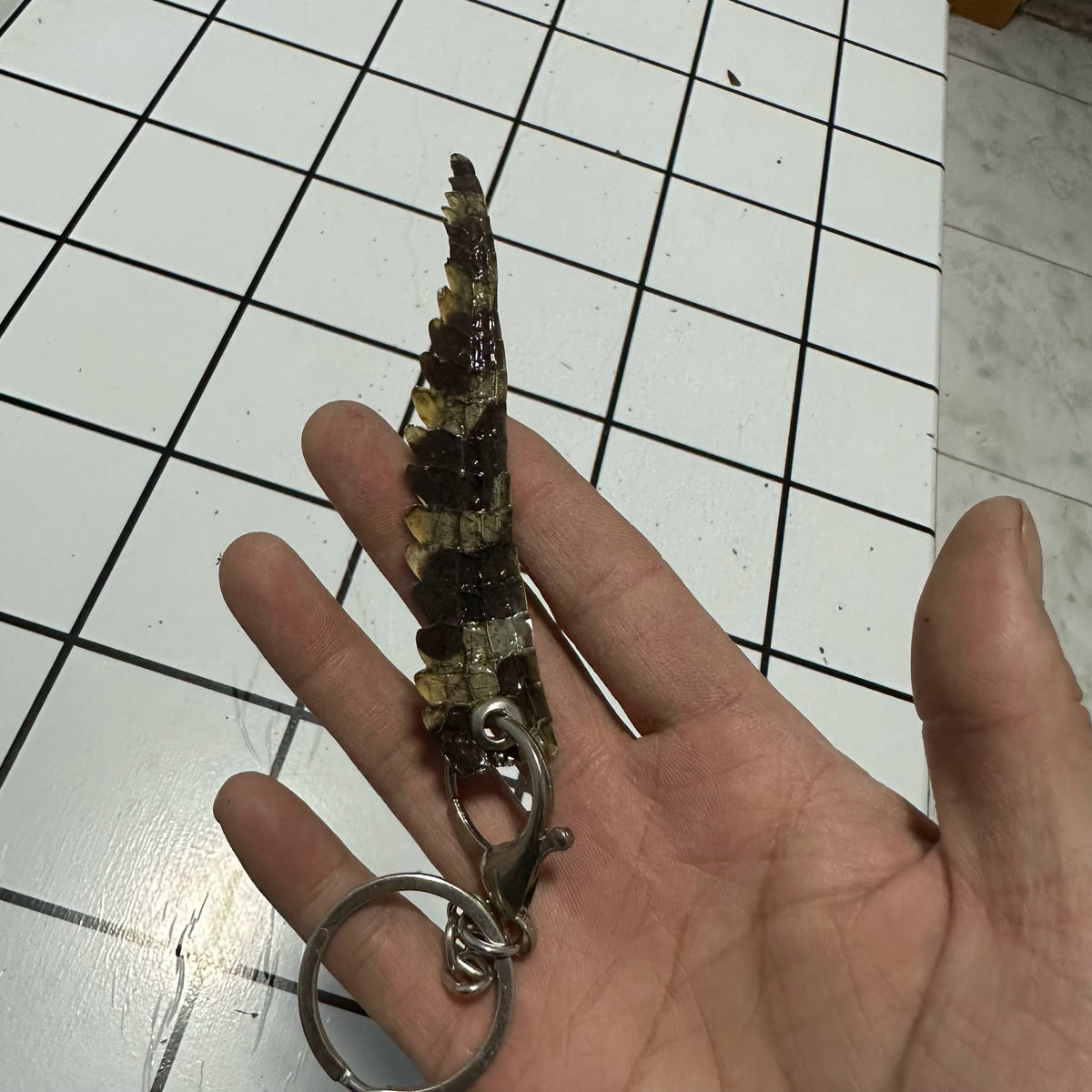 1PC Crocodile Tail Keychain