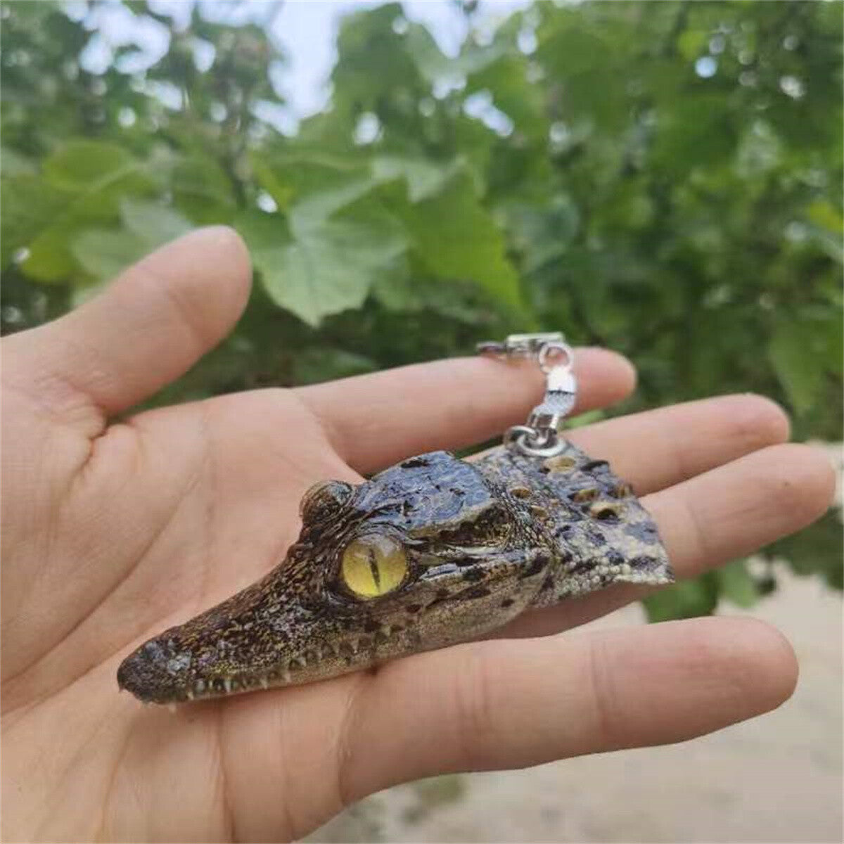 1-Piece Real Crocodile Head Specimen Keychain | Car Keychain Accessory | Gift-